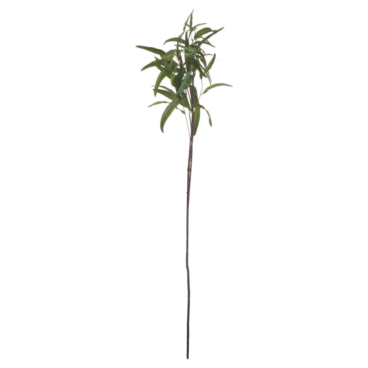 Eucalyptus Nicholii Spray – alternate view 5