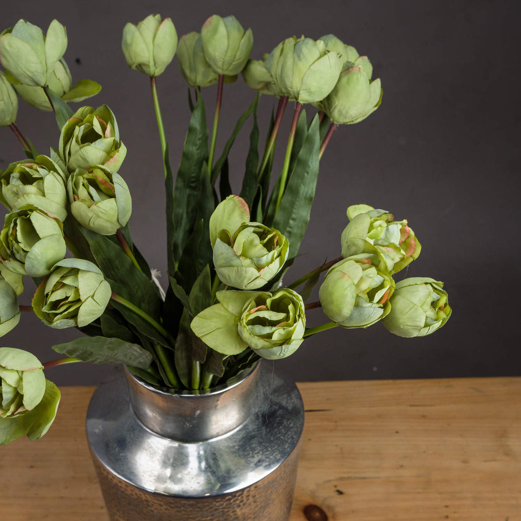Green Tulip – alternate view 2