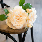 Peachy Cream Short Stem Rose Bouquet – alternate view 3