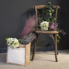 White Lace Cap Hydrangea – alternate view 5