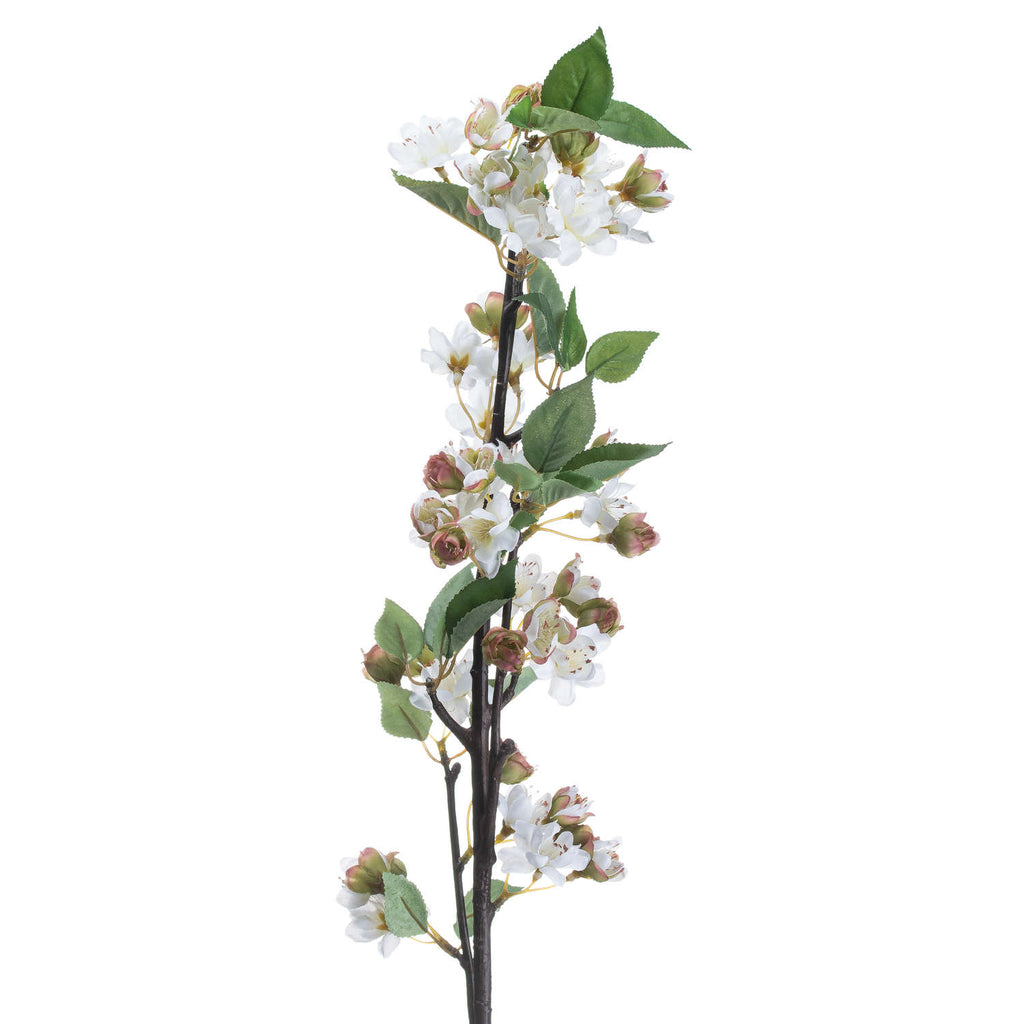English Blossom Branch – alternate view 3