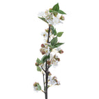 English Blossom Branch – alternate view 3