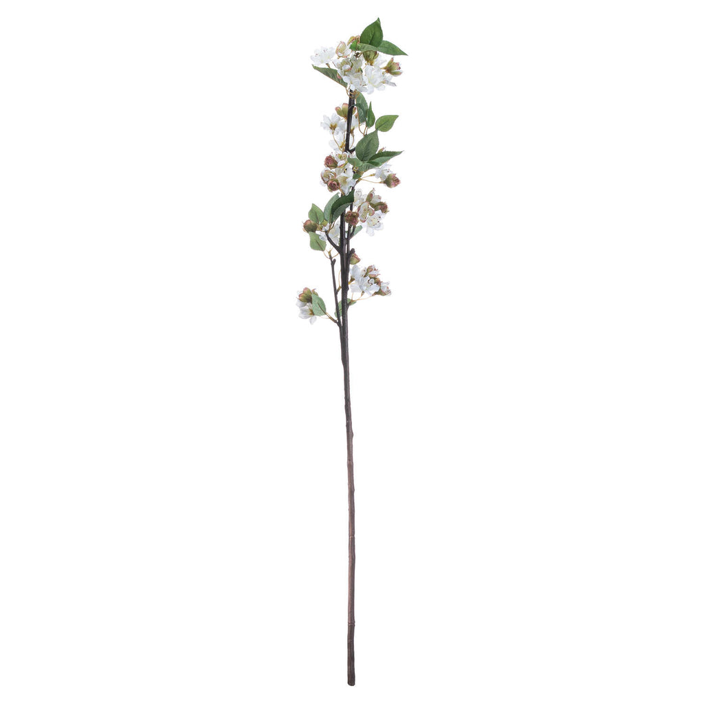 English Blossom Branch – alternate view 4