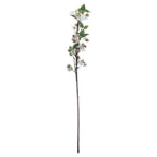 English Blossom Branch – alternate view 4