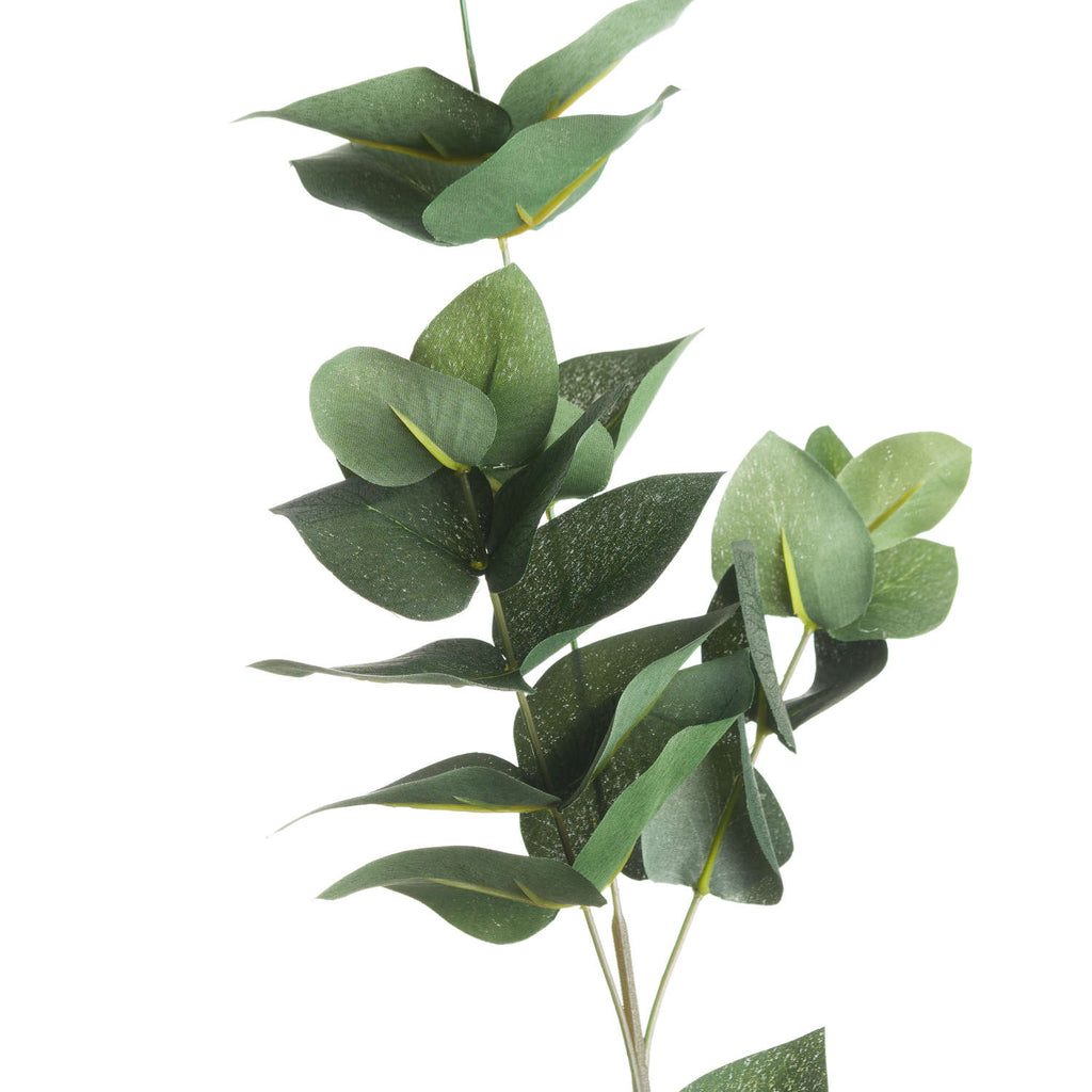 Eucalyptus Filler – alternate view 2