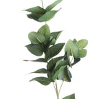 Eucalyptus Filler – alternate view 2
