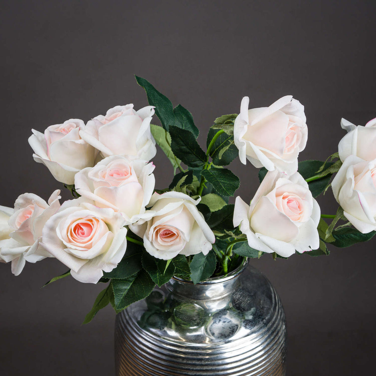Palest Pink Tea Rose – alternate view 2