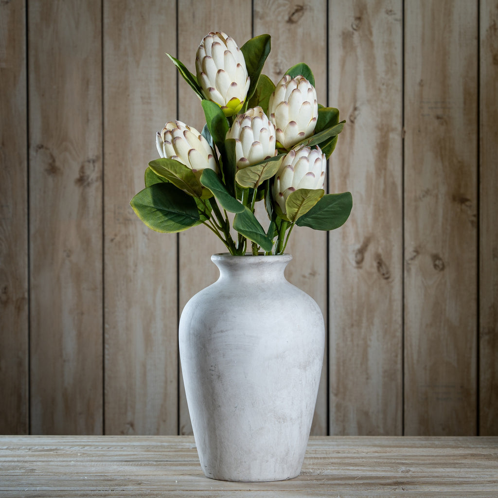 Closed White Protea – alternate view 2