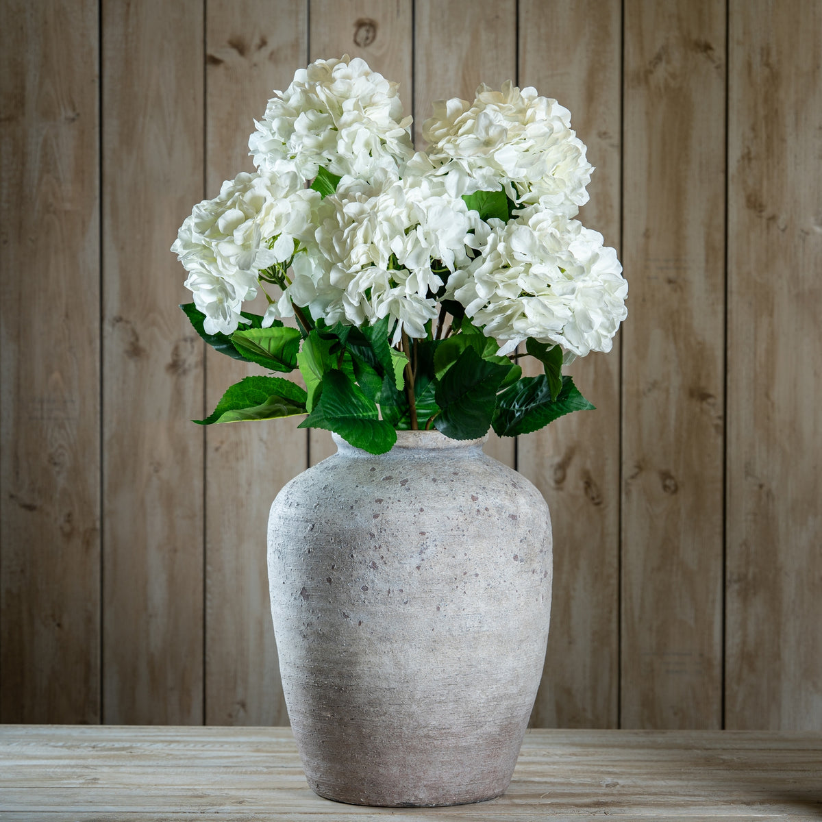 Single White Hydrangea – alternate view 2