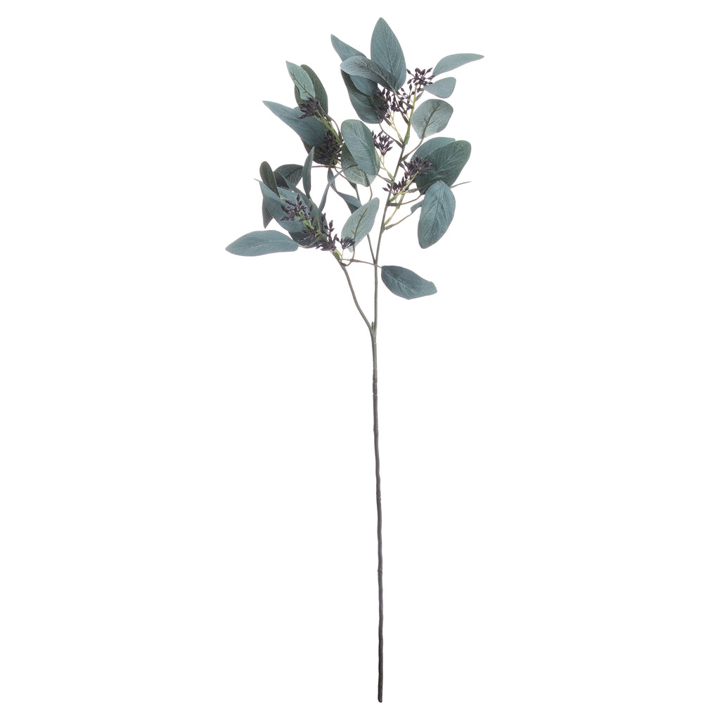 Seeded Eucalyptus Stem – alternate view 3