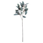Seeded Eucalyptus Stem – alternate view 3