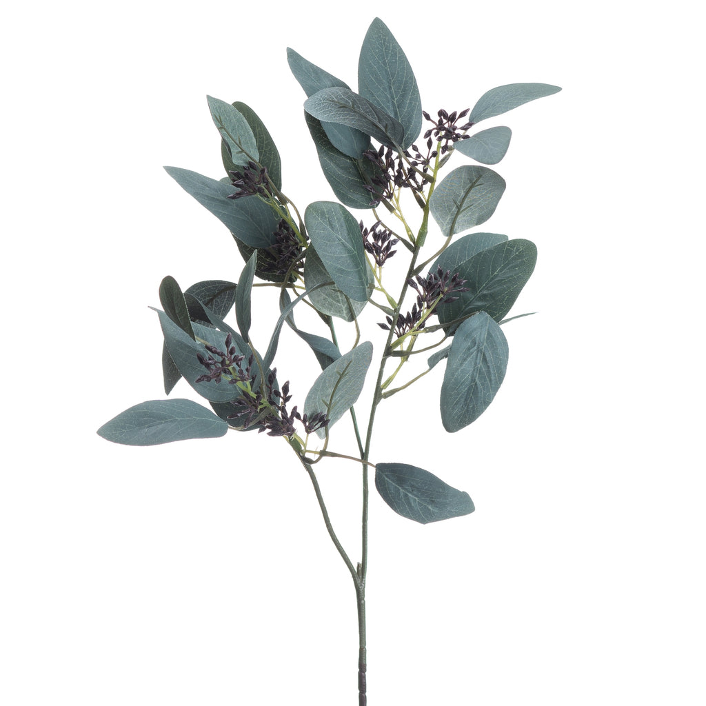 Seeded Eucalyptus Stem – alternate view 4