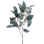 Seeded Eucalyptus Stem – alternate view 4