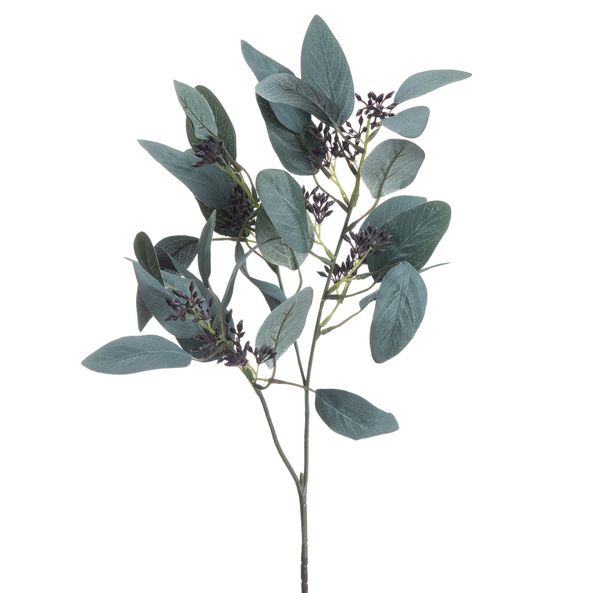 Seeded Eucalyptus Stem – alternate view 4