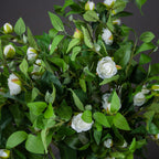 Cream Gardenia Stem – alternate view 2