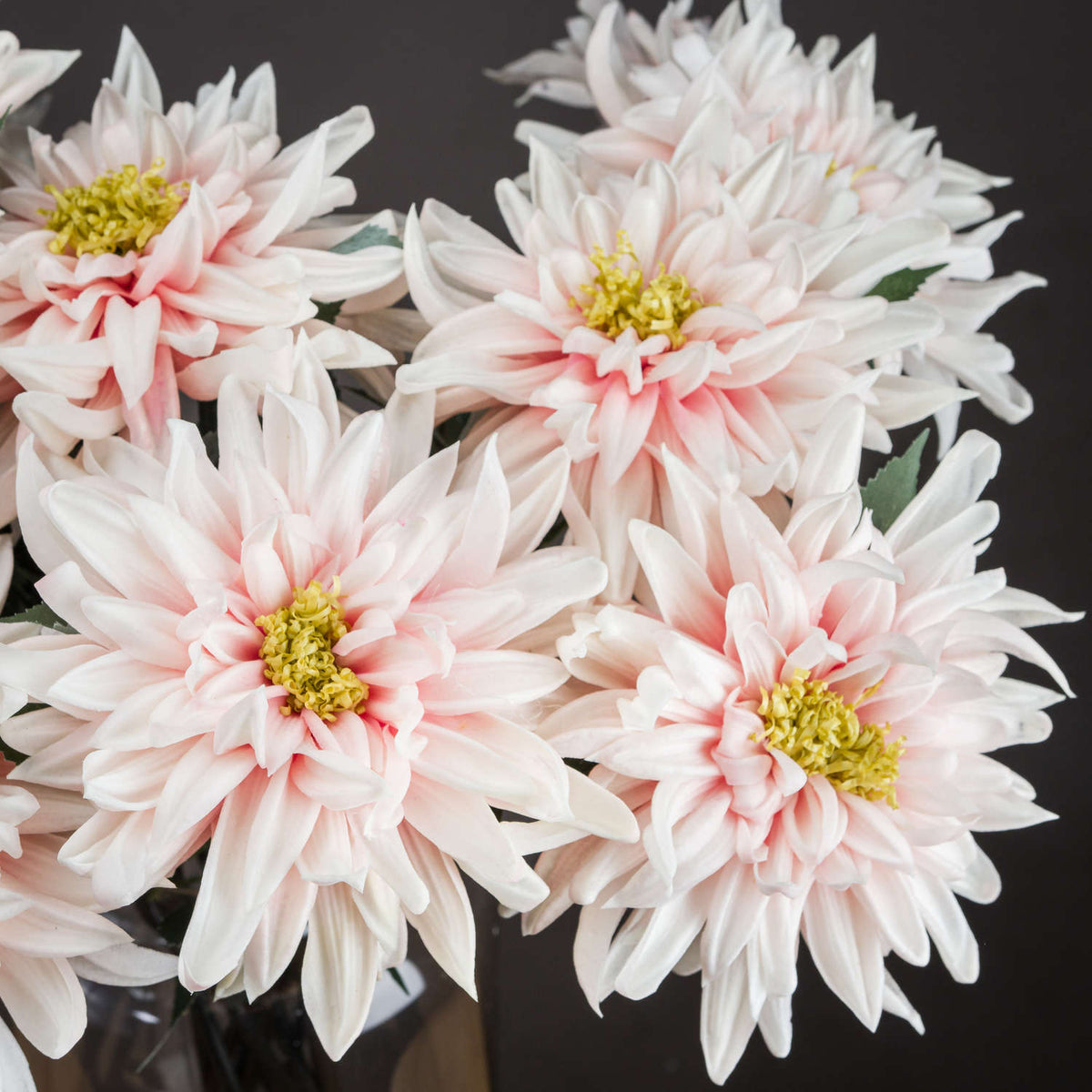 Lush Pink Dahlia – alternate view 2