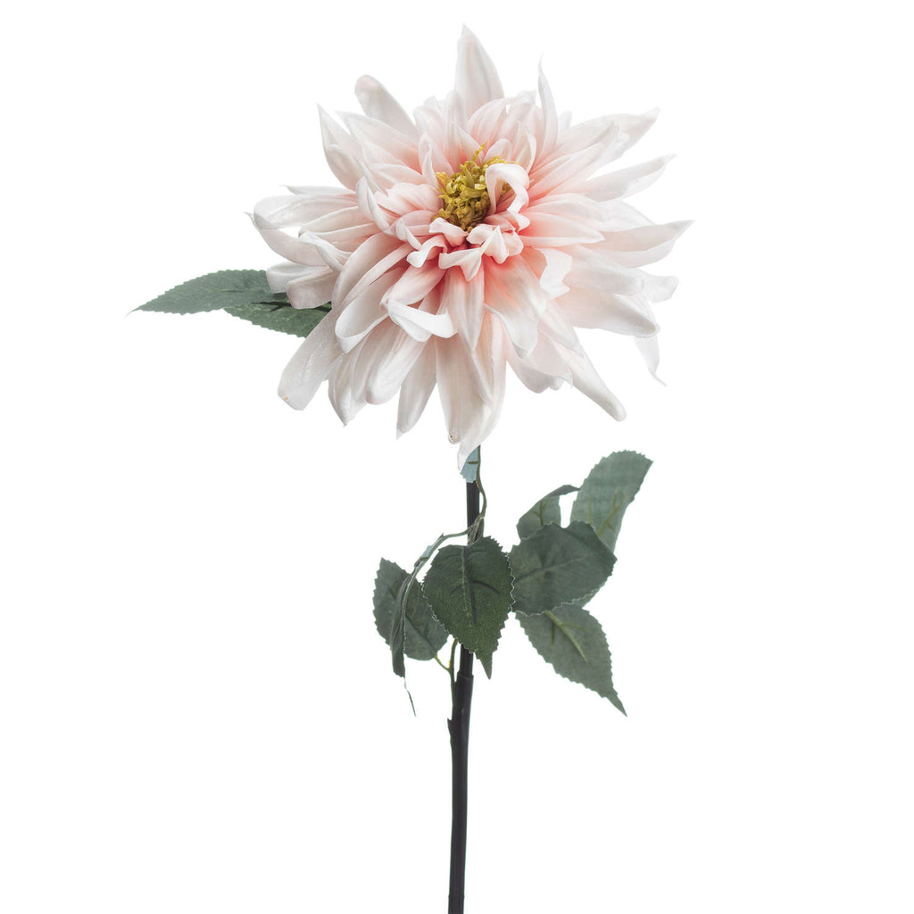Lush Pink Dahlia – alternate view 3