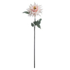 Lush Pink Dahlia – alternate view 4