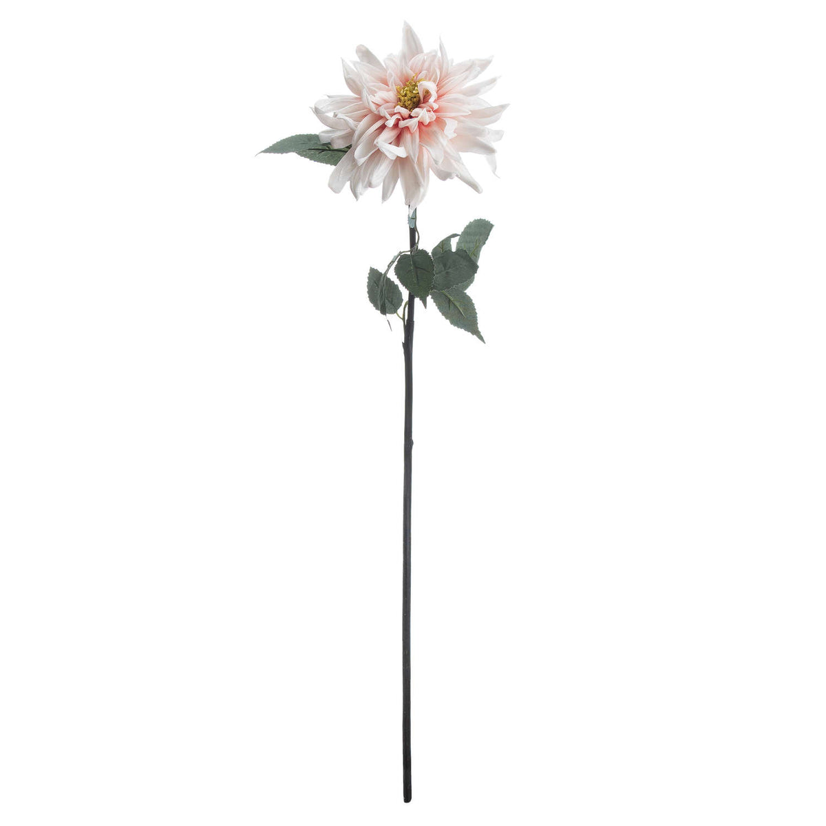 Lush Pink Dahlia – alternate view 4