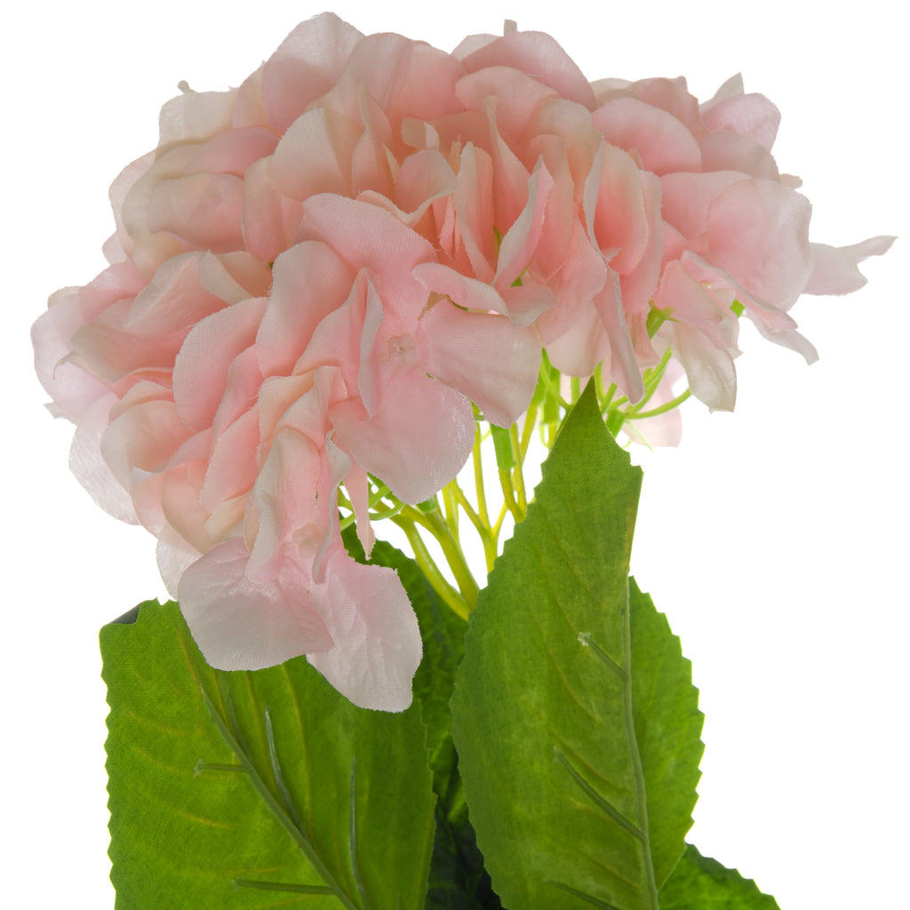 Single Pink Hydrangea – alternate view 2