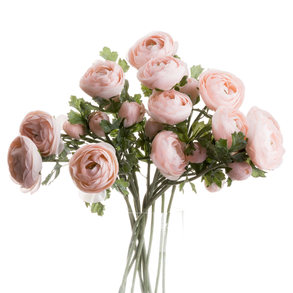 Pastel Pink Ranunculus – alternate view 3