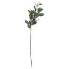 Summer Seeded Eucalyptus – alternate view 2
