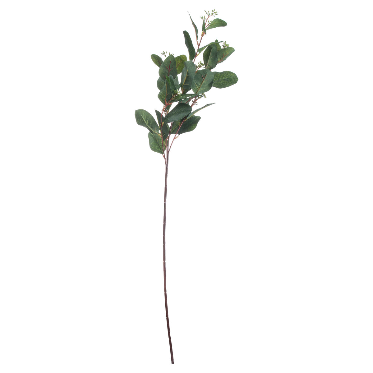 Summer Seeded Eucalyptus – alternate view 2