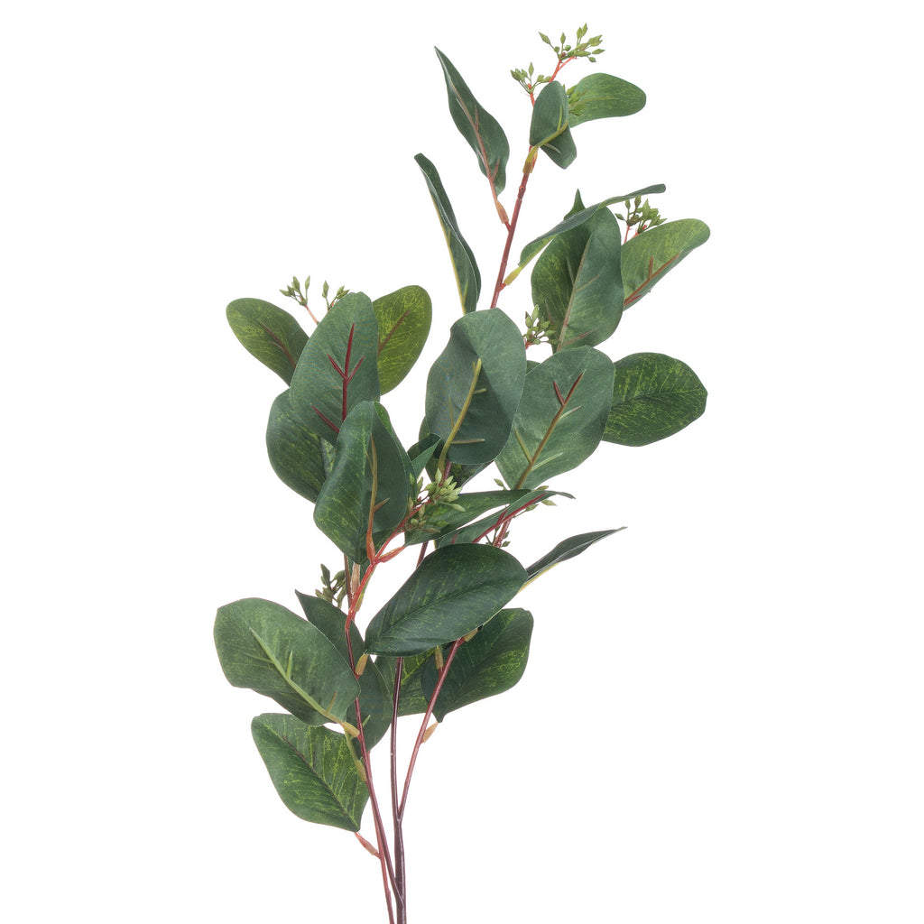 Summer Seeded Eucalyptus – alternate view 3