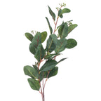 Summer Seeded Eucalyptus – alternate view 3