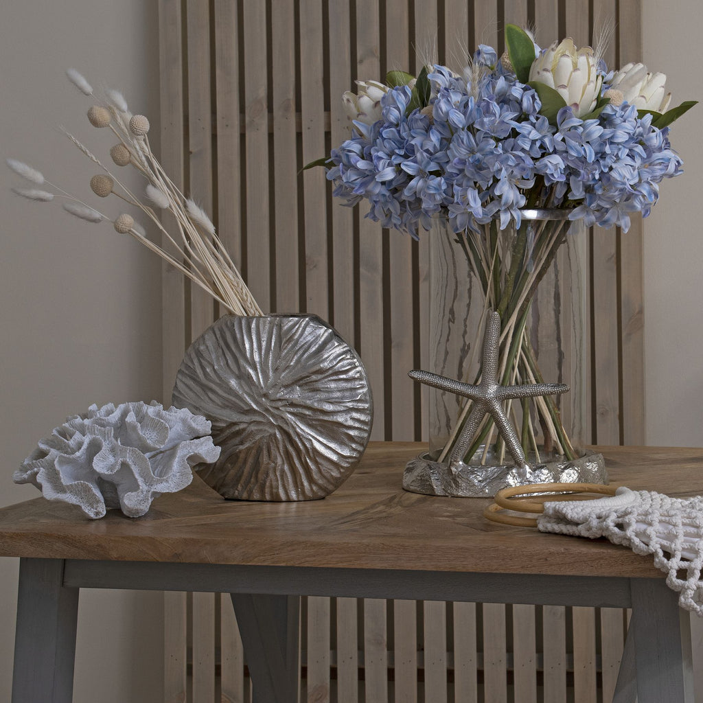 Light Blue Large Headed Agapanthus – alternate view 5