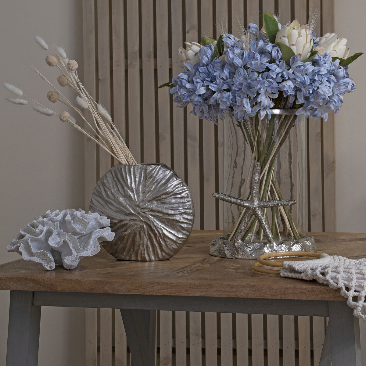 Light Blue Large Headed Agapanthus – alternate view 5