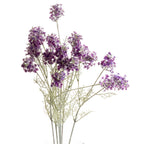 Purple Meadow Flower – alternate view 3