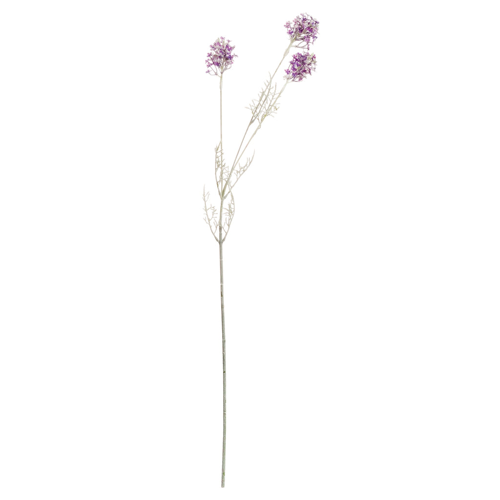 Purple Meadow Flower – alternate view 4