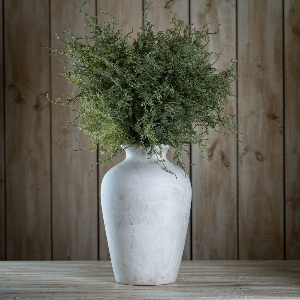 Asparagus Fern Bunch – alternate view 2