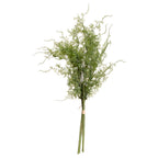 Asparagus Fern Bunch – alternate view 3