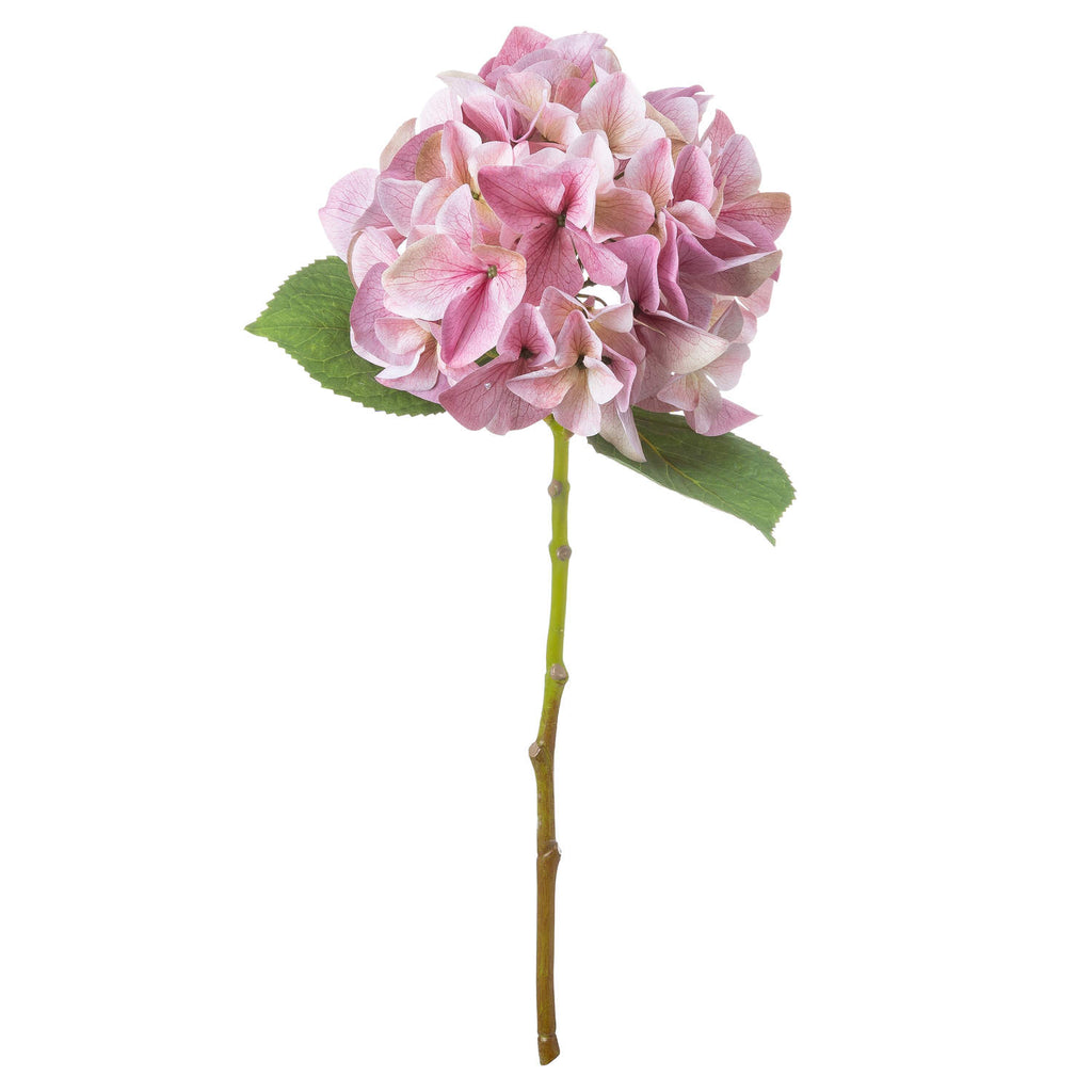 Shabby Pink Single Hydrangea – alternate view 2