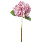 Shabby Pink Single Hydrangea – alternate view 2