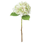 Shabby Green Single Hydrangea – alternate view 2