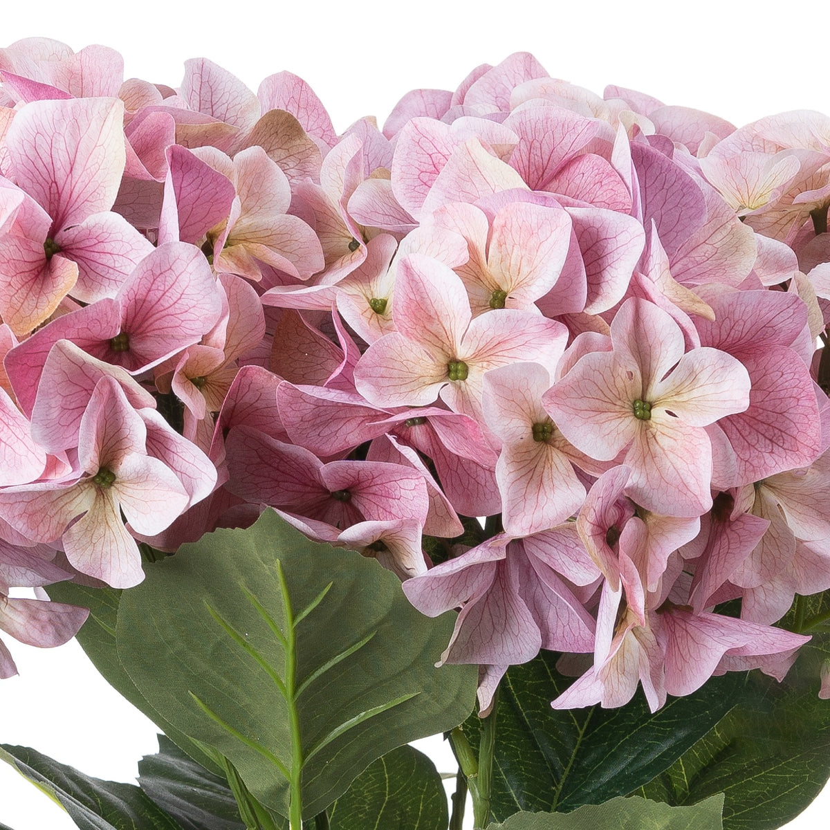 Shabby Pink Hydrangea Bouquet – alternate view 3