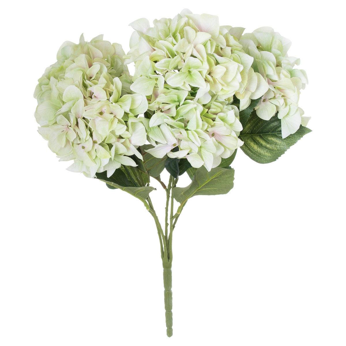 Shabby Green Hydrangea Bouquet – alternate view 3