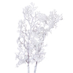 Snowy Branch – alternate view 2