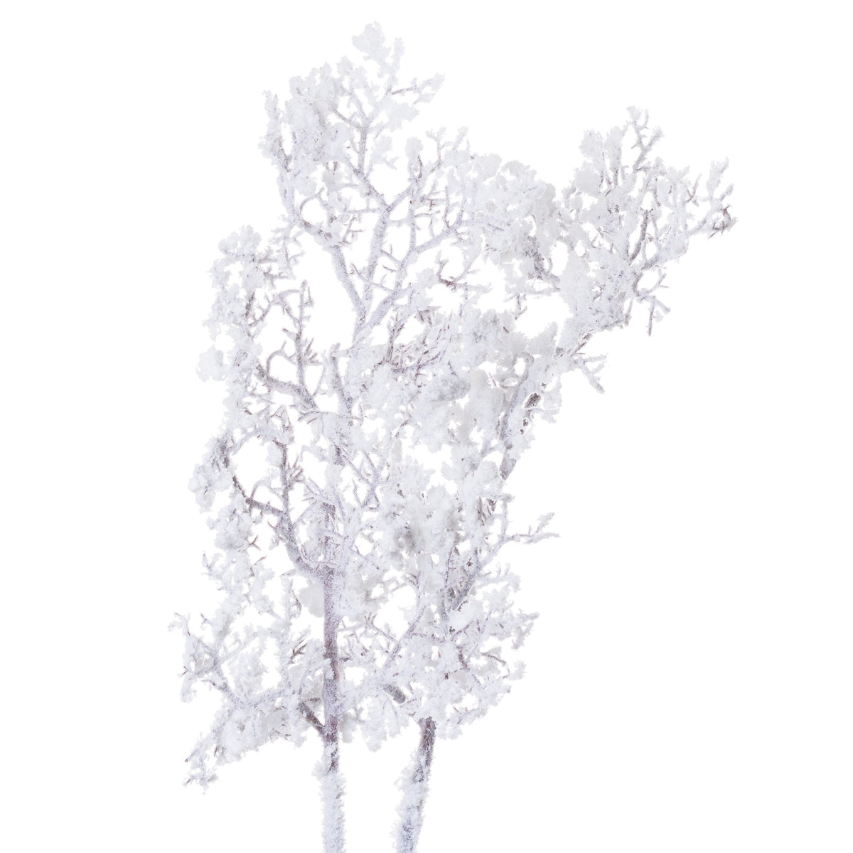Snowy Branch – alternate view 2