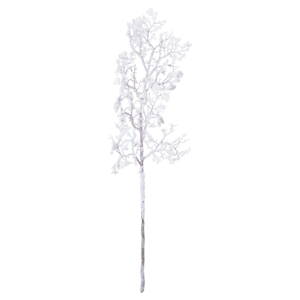 Snowy Branch – alternate view 3