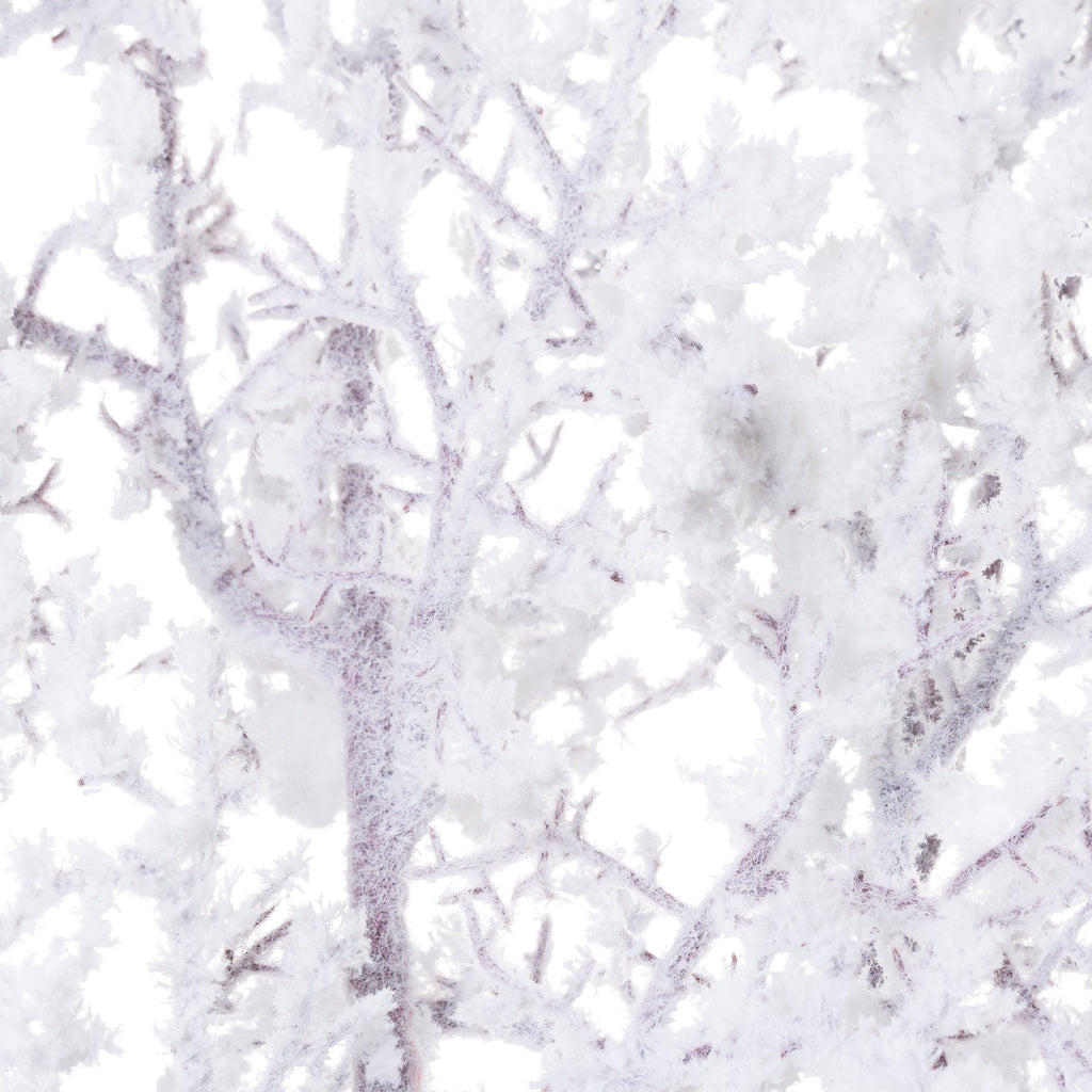 Snowy Branch – alternate view 4