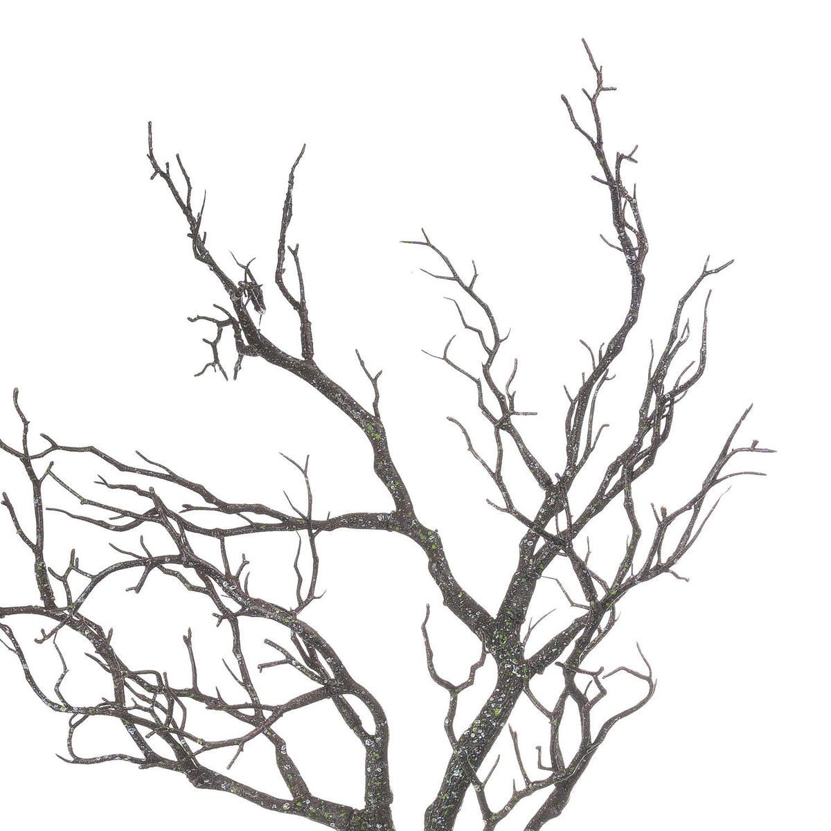 Large Branch Spray – alternate view 3
