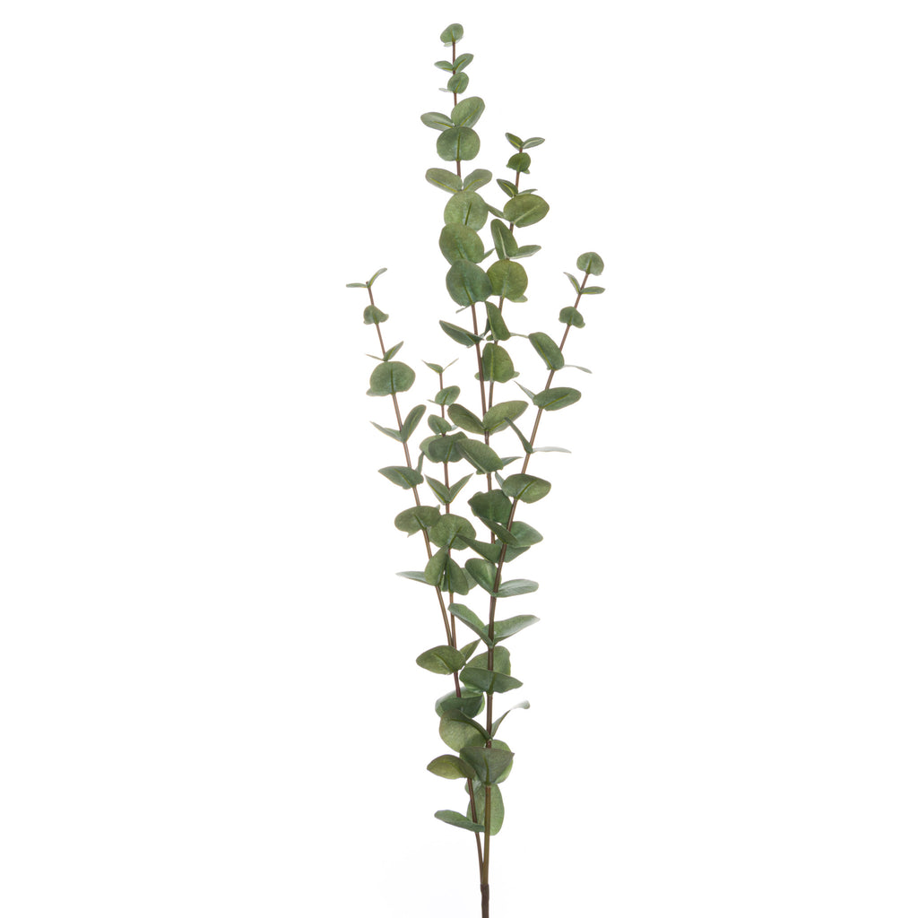 Large Cineraria Eucalyptus Spray – alternate view 2