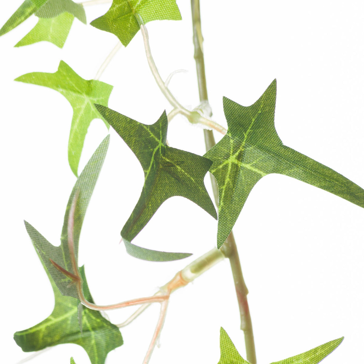 Small Ivy Garland – alternate view 3