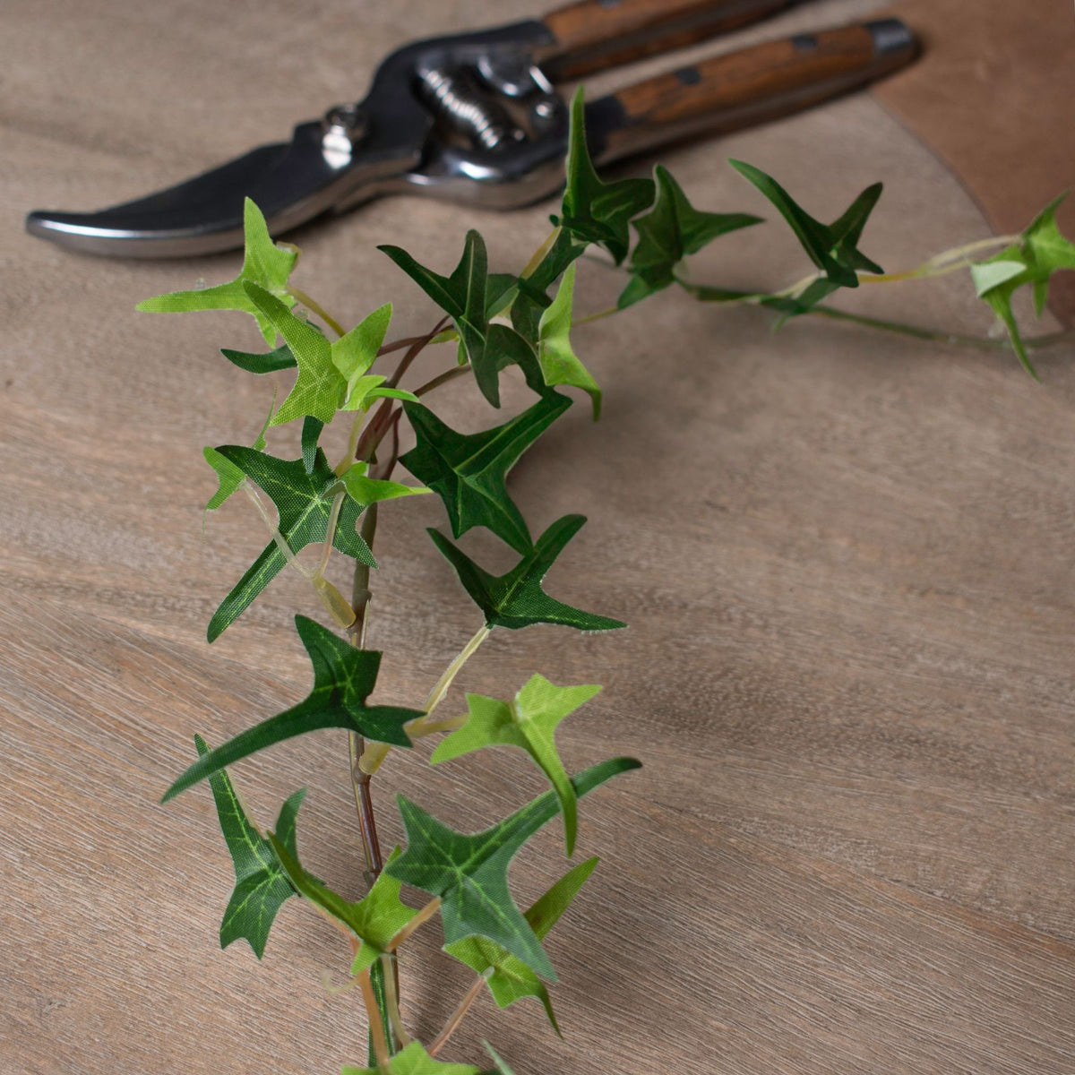 Small Ivy Garland – alternate view 5