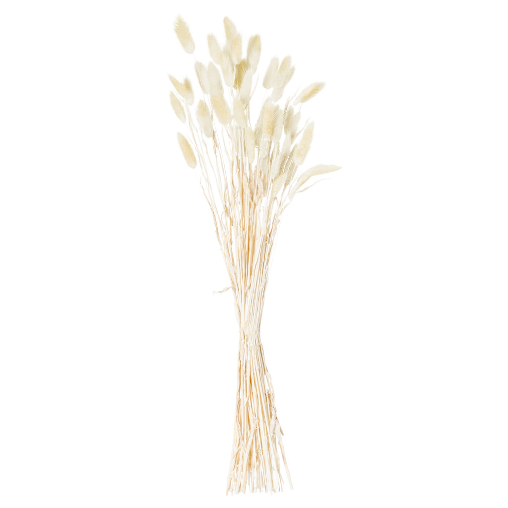 Dried Natural Bunny Tail Bunch Of 40 – alternate view 3