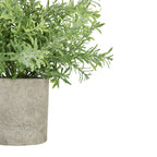 Rosemary Plant In Stone Effect Pot – alternate view 2